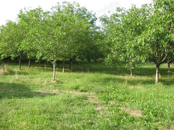 Terrain à vendre |  Alvignac |  5957 m²