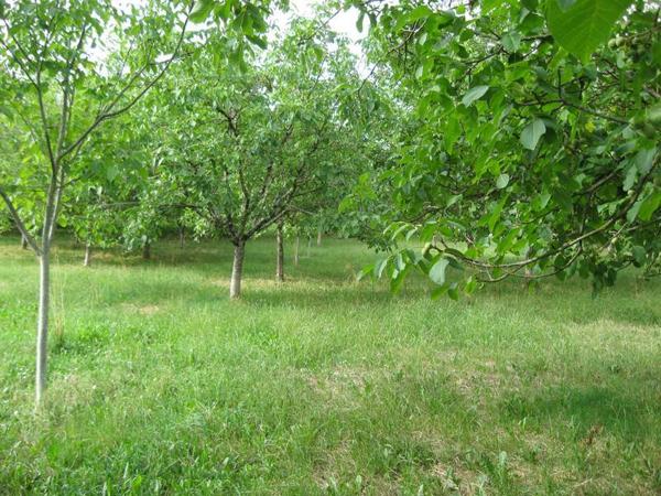 Terrain à vendre |  Alvignac |  5957 m²