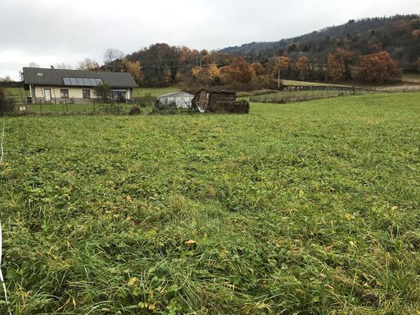 TRES BEAU TERRAIN constructible à La Chapelle Blanche