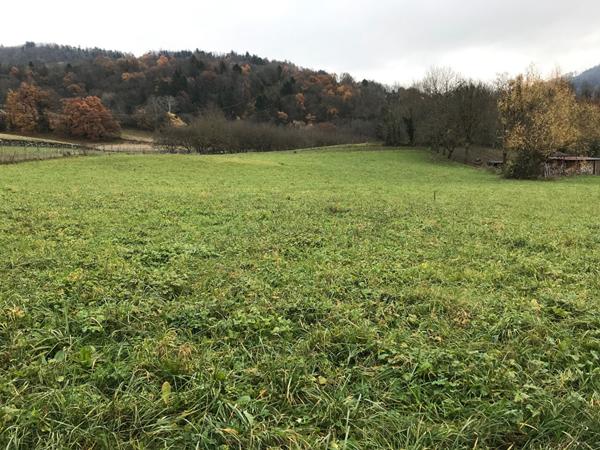 TRES BEAU TERRAIN constructible à La Chapelle Blanche