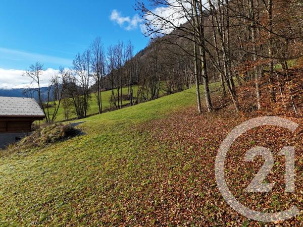 Terrain à vendre  1056 m2 MONTRIOND - 74
