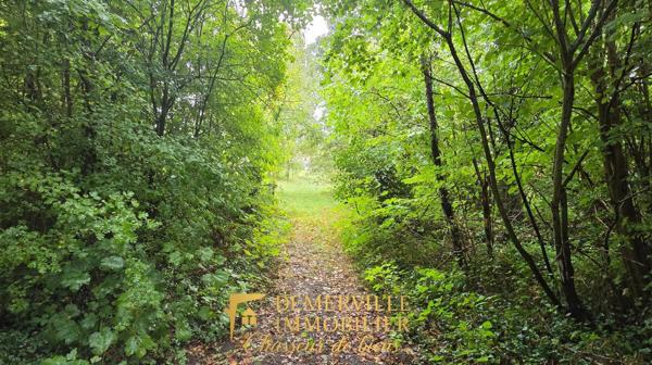 Maison individuelle semi plain-pied sur sous-sol complet et grand espace naturel