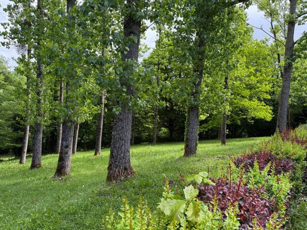 EN EXCLUSIVITE Maison 184m², 4 chambres avec dépendances sur 4396m² de terrain 149 900 €