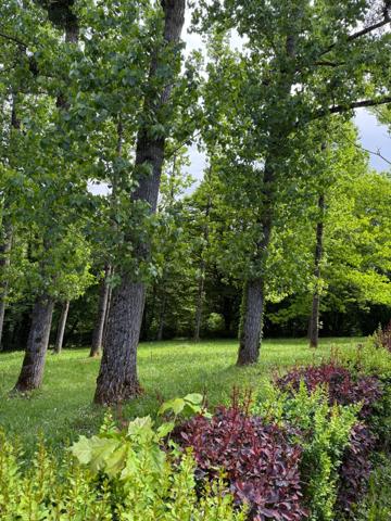 EN EXCLUSIVITE Maison 184m², 4 chambres avec dépendances sur 4396m² de terrain 149 900 €