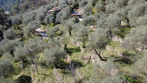 Breil-sur-Roya (06540) Maison mitoyenne avec piscine dans les oliviers