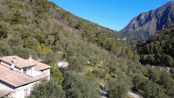 Breil-sur-Roya (06540) Maison mitoyenne avec piscine dans les oliviers