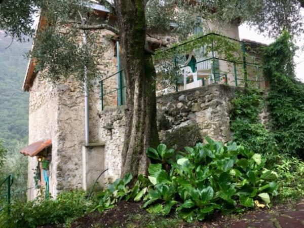 Breil-sur-Roya (06540) Maison mitoyenne avec piscine dans les oliviers