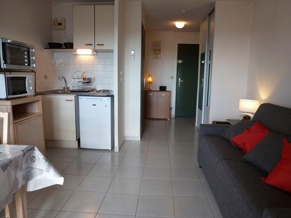 Appartement Balaruc Les Bains 1 pièce(s) 20 m2