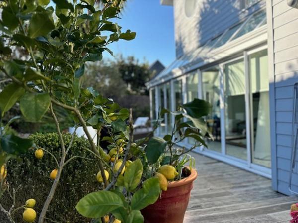 Maison La Foret Fouesnant 5 pièce(s) 225 m2