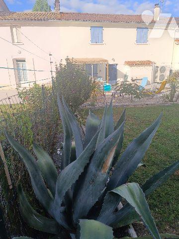 MAISON de 200 m² avec TERRAINS et DEPENDANCES