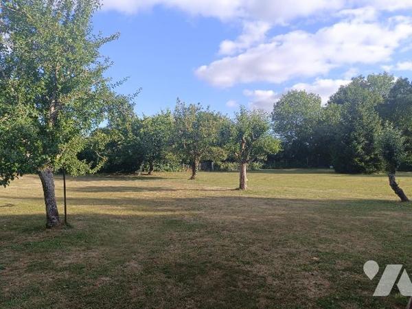 MAISON de 200 m² avec TERRAINS et DEPENDANCES