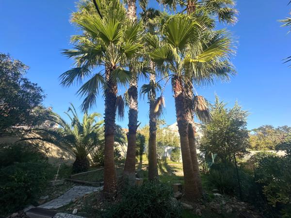 Fréjus (83370) Appartement 2 pièces rénové et meublé avec terrasse et piscine et parking privé – Saint-Aygulf