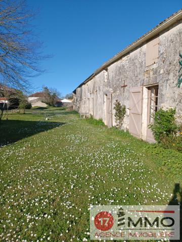 Longère et Hangar – Terrain – Thaire