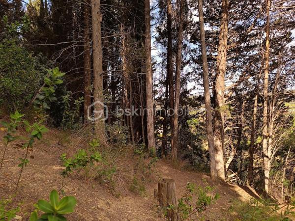 Terrain agricole de 1 625 m²