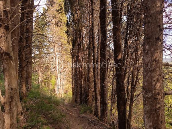 Terrain agricole de 1 625 m²