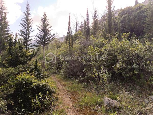 Terrain agricole de 1 625 m²