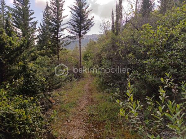 Terrain agricole de 1 625 m²