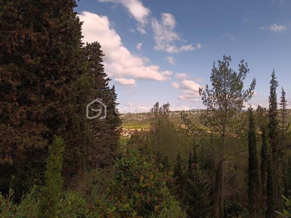 Terrain agricole de 1 625 m²