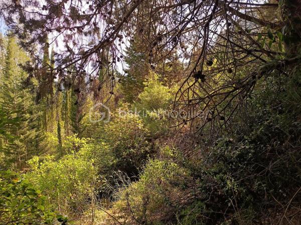 Terrain agricole de 1 625 m²