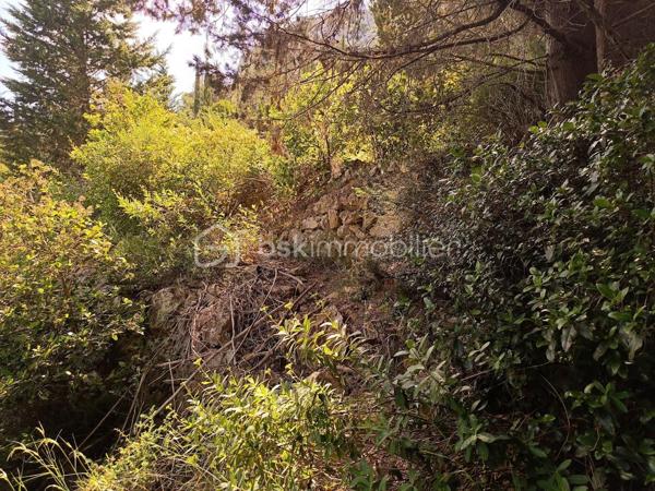 Terrain agricole de 1 625 m²