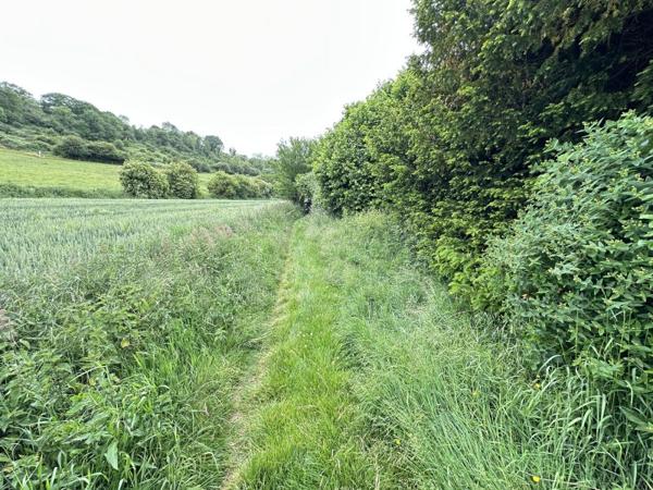 Vente / Terrain