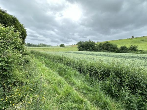 Vente / Terrain