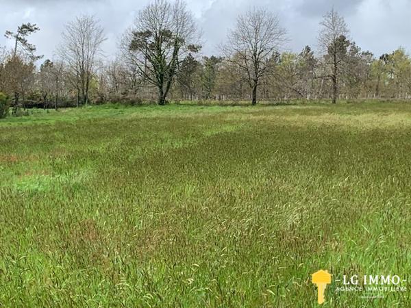 Votre recherche de biens