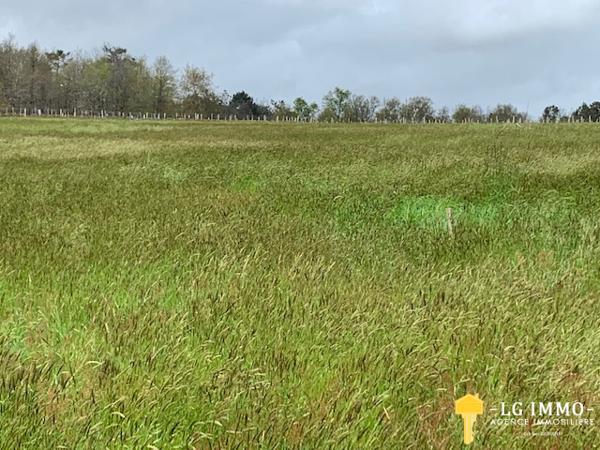 Votre recherche de biens