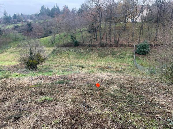 Maison à toit plat Saint Just Saint Rambert 4 pièces 117.5 m2