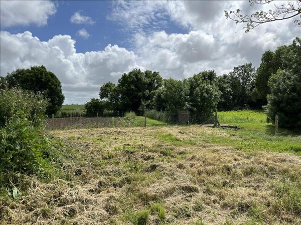 Terrain à vendre |  Sainte-Soulle |  466 m²