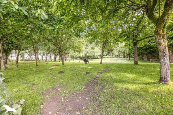 Maison à vendre |  Chaix |  5 pièces | 187 m²