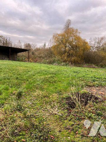 Fermette picarde - NESLE