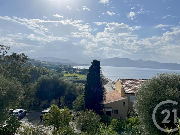 Appartement F1 à vendre  1 pièce - 30,95 m2 PATRIMONIO - 202