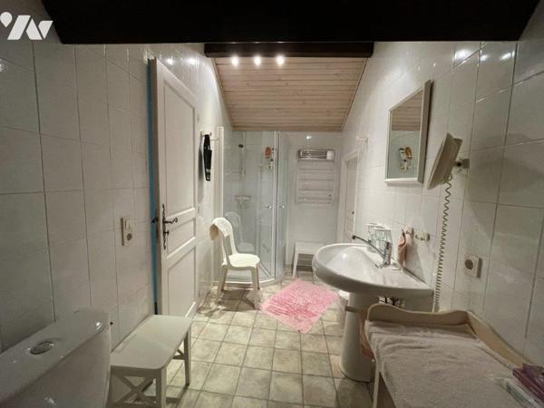 VILLECOMTAL/ARROS à 7min, au calme, belle Bigourdane et appartement T2 sur 9589m²