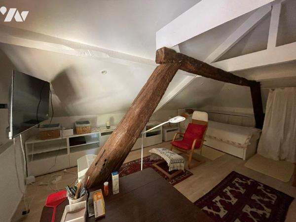 VILLECOMTAL/ARROS à 7min, au calme, belle Bigourdane et appartement T2 sur 9589m²