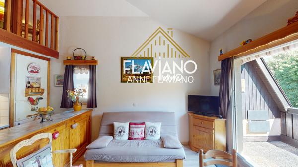 Barcelonnette (04400) APPARTEMENT T2 + MEZZANINE BARCELONNETTE