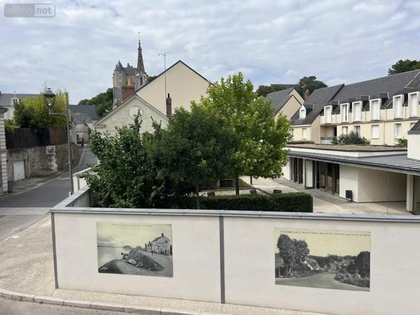 Achat - Maison Luynes 37230 7 pièces 232 m 2 125 m 2