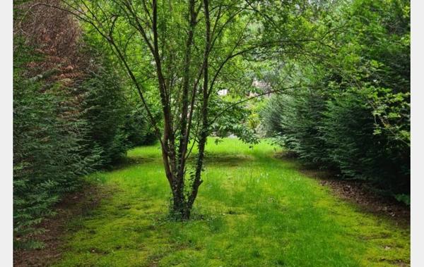 Vente Appartement P5 Forbach   