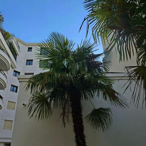 Grand F2 Parfait Etat au soleil étage élevé deux balcons