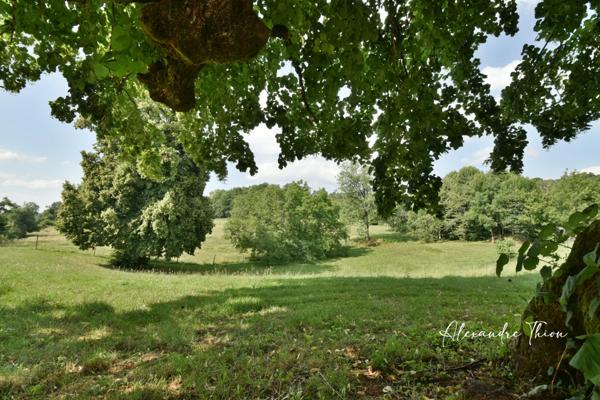 Maison à vendre 23 pièces JUJURIEUX (01)