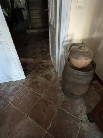 MARCIAC et PLAISANCE(32), AUTHENTIQUE et ELEGANTE PROPRIETE GASCONNE, dans son jus, SANS VOISIN, VUE sur les coteaux 300m2, dependances 500m2, près de 8ha bois et terres