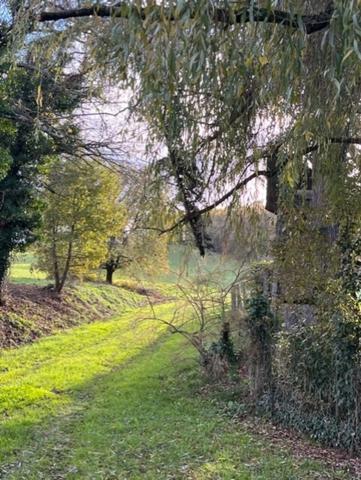 MARCIAC et PLAISANCE(32), AUTHENTIQUE et ELEGANTE PROPRIETE GASCONNE, dans son jus, SANS VOISIN, VUE sur les coteaux 300m2, dependances 500m2, près de 8ha bois et terres