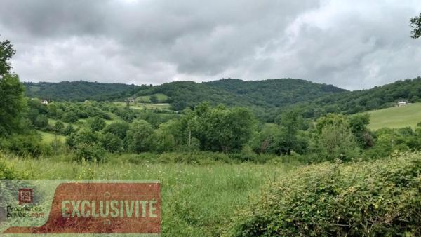 Terrain constructible de 2 750 m² à Lanteuil . Cadre calme et verdoyant