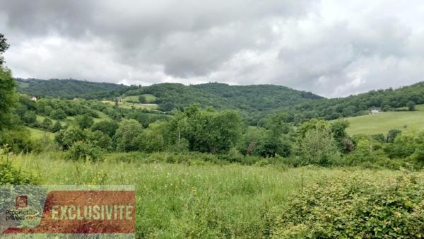 Terrain constructible de 2 750 m² à Lanteuil . Cadre calme et verdoyant