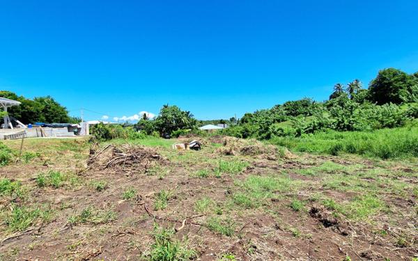 Terrain à vendre    Le Vauclin