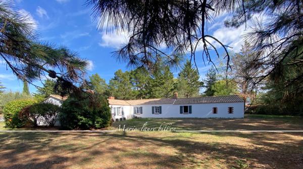Maison à vendre 7 pièces SAINT HILAIRE DE RIEZ (85), longère+sa maison d'amis+annexes+piscine , parcelle 6000 m2