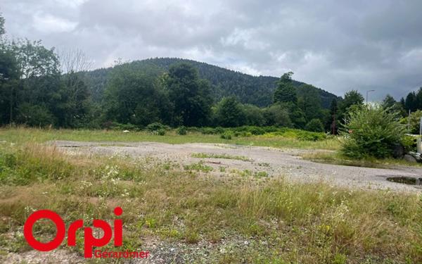 Terrain à vendre    Gérardmer