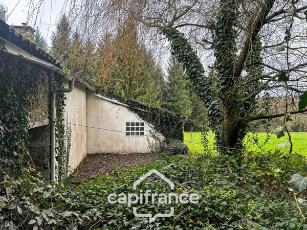 Maison en pierre avec dépendances et grand terrain – Environnement boisé et calme – La Motte (22600)