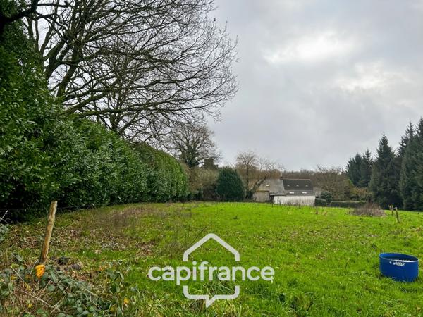 Maison en pierre avec dépendances et grand terrain – Environnement boisé et calme – La Motte (22600)