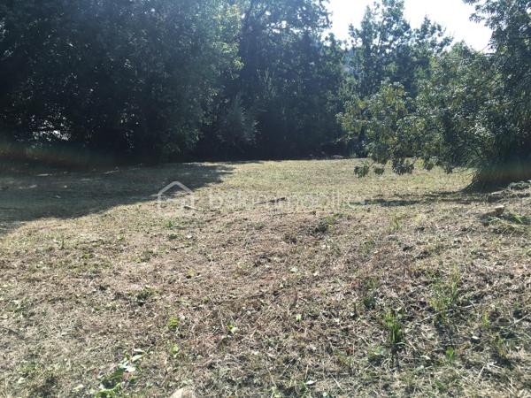 Située à La Colle-sur-Loup, à la limite de Cagnes-sur-Mer et Villeneuve-Loubet, à quelques minutes du célèbre village de Saint-Paul-de-Vence, des commerces et des axes principaux, BSK Immobilier vous propose en exclusivité cette villa 7 pièces au fort potentiel, offrant une belle vue dégagée sur les collines et le village.

Exposée Est et Sud, la maison bénéficie d’une luminosité optimale dès le matin et d’un ensoleillement agréable tout au long de la journée.

Développant de beaux volumes, cette villa offre de nombreuses possibilités d’aménagement pour s’adapter à tous les projets : grande maison familiale, résidence secondaire ou encore projet à usage mixte.

À l’étage supérieur, vous découvrirez une entrée, un vaste séjour lumineux avec plafond cathédrale, une cuisine indépendante, deux chambres et une salle de bains.

Le niveau inférieur propose une grande cuisine ouverte sur salle à manger, un espace bibliothèque pouvant faire office de chambre ou bureau, une chambre avec salle de bains ainsi qu’un superbe jardin d’hiver baigné de lumière.

De nombreuses terrasses permettent de profiter pleinement du cadre verdoyant et du climat azuréen.

Côté prestations : climatisation, double vitrage neuf, DPE C et GES A, garantissant confort et efficacité énergétique.

La propriété dispose également d’une maison d’amis indépendante, d’un terrain paysagé agrémenté d’oliviers et d’agrumes, ainsi que d’un environnement entièrement clôturé.

Ce bien s’adresse aussi bien à une famille qu’à un projet intergénérationnel ou à un investissement, dans un secteur recherché entre mer et collines.

Une opportunité rare à découvrir sans tarder.